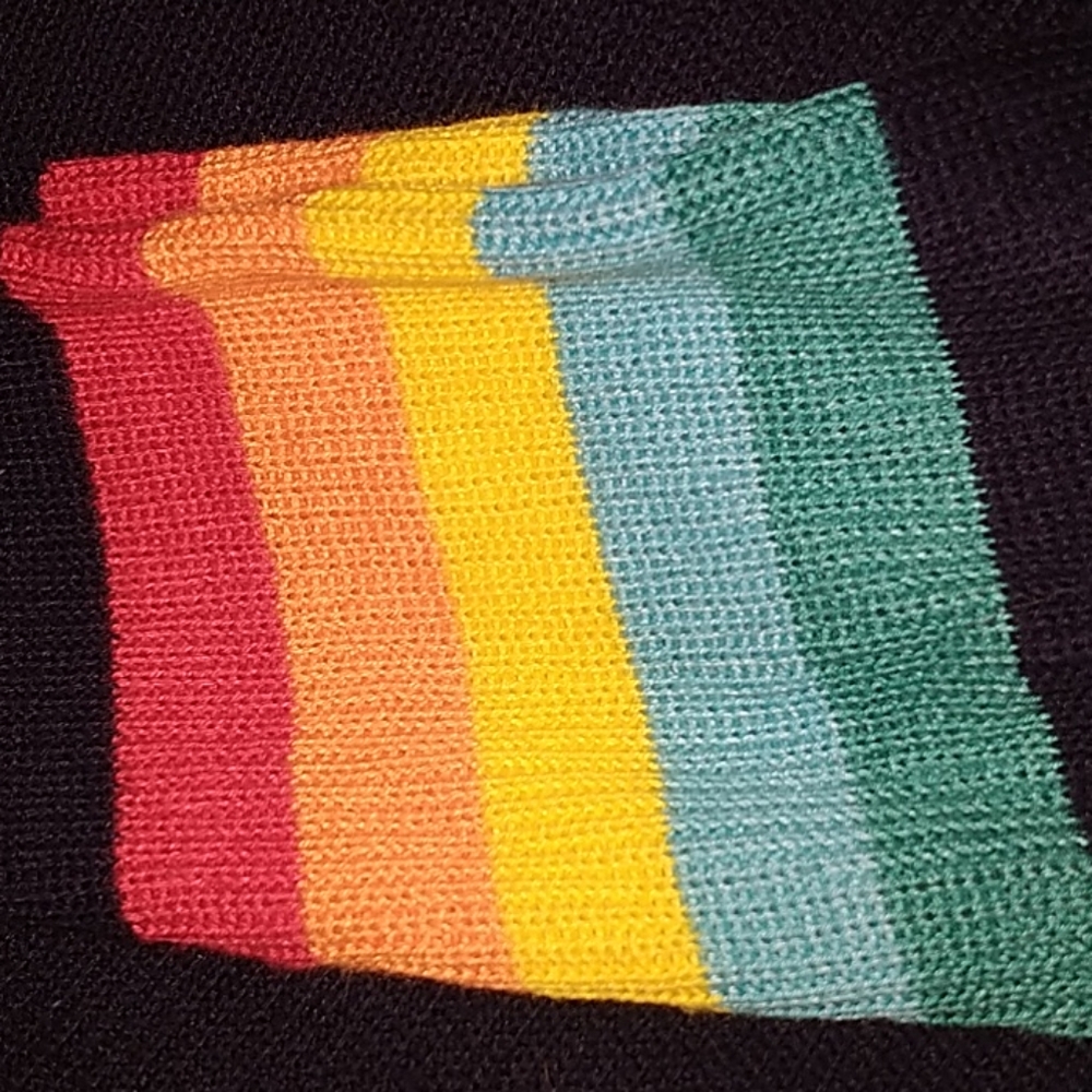 Wild Honey Large Rainbow Long Sleeve Sweater.